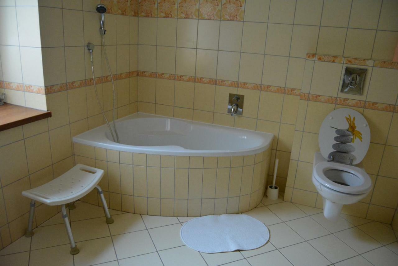 Ubytovani U Dvoraku Veseli nad Luznici Ngoại thất bức ảnh